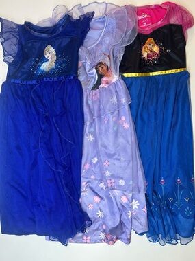 Disney Princess Dress Bundle